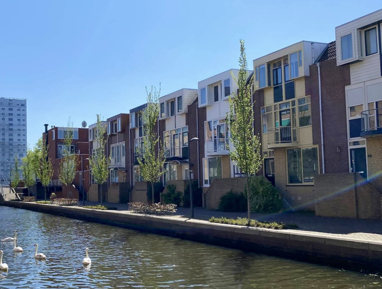 Modern apartments in Almere